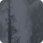 Canopy