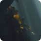 Underwater